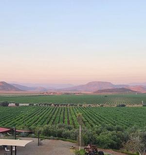 葡萄园的景色,有一张野餐桌和一片田野