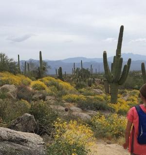 a girl walking on a trail in the desert with cactus