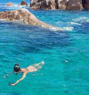 a person swimming in a body of water