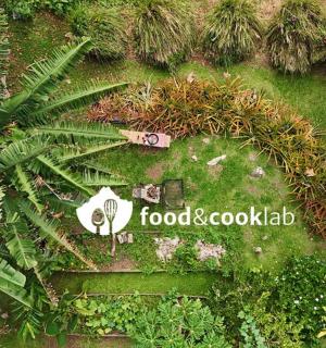 花园的俯视图，花园里有食物和烹饪台