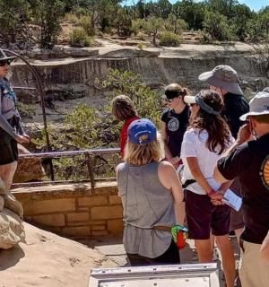 skupina lidí stojících kolem a dívajících se na žirafu