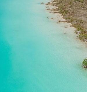 eine Luftaufnahme eines Strandes mit blauem Wasser