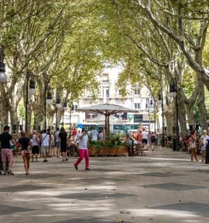 一群人在有树的公园里散步