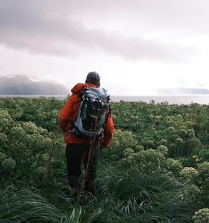 背着背包穿过田野的人