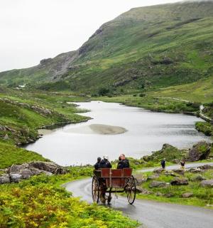a horse drawn carriage on a road near a lake