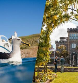 a duck in front of a boat in front of a castle