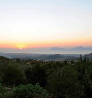 山上树木和海洋的日落