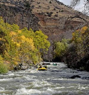 一群人沿着树木繁茂的河流漂流