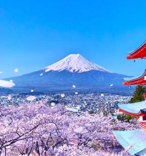 a mountain with a red pagoda in front of a city
