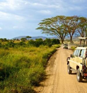 a group of vehicles driving down a dirt road