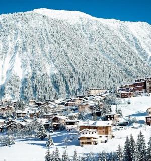 a village covered in snow in front of a mountain