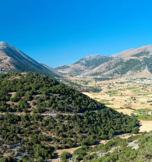 树木繁茂的山谷的鸟瞰图
