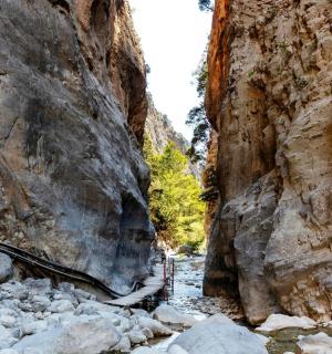 a path through a canyon with rocks and trees