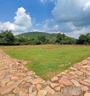 一个人走过一大片草地