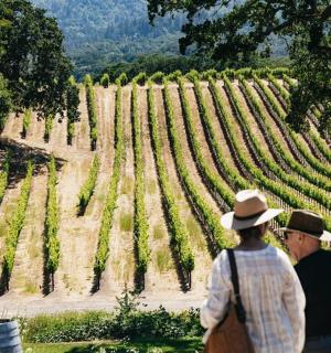 two people standing in front of a vineyard