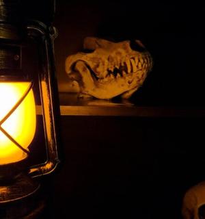 架子上放着一个骷髅头灯笼，旁边还有一个骷髅头