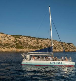 水中载有乘客的船