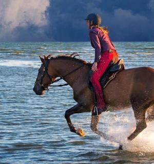 a person riding a horse in the water