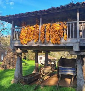 a bunch of bananas hanging from a balcony
