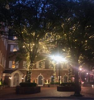 一棵树前挂着圣诞灯的建筑