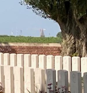 白色的栅栏，后面有一棵树