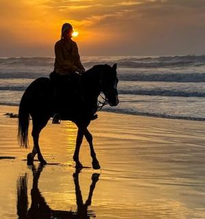 osoba jedoucí na koni na pláži při západu slunce