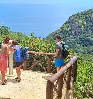 a group of people standing on a boardwalk looking at the mountains