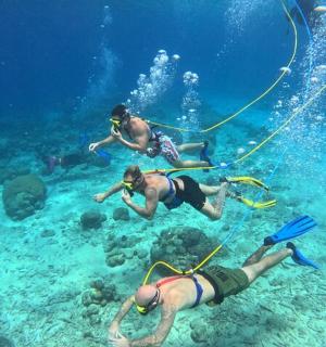 一群人在海里游泳