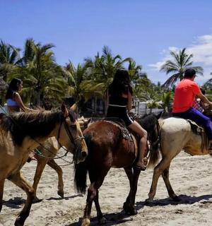 a group of people riding horses on the beach