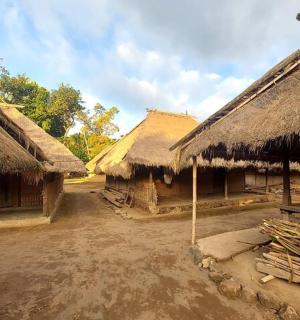 村庄里的一组茅草屋顶的房屋
