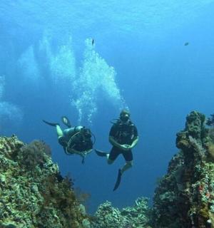 两人在珊瑚礁上潜水