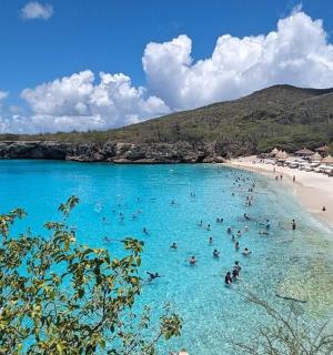 一群人在海滩的水中