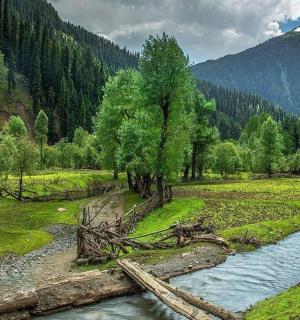 田野中间的一条河
