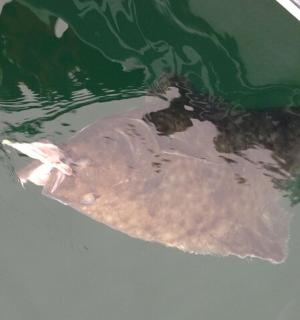 一只鸟在船上漂浮在水面上