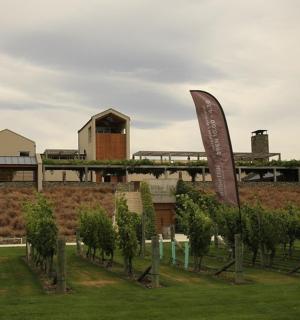 a sculpture in a field in front of a building