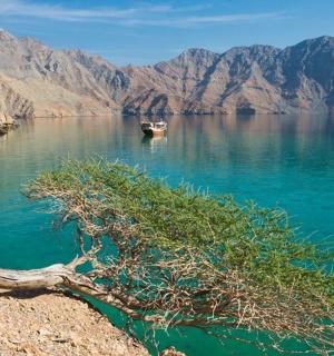 水域中央的一艘船