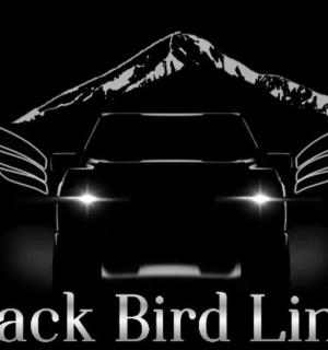 a black and white picture of a black bird limo