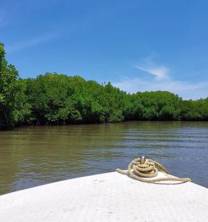 a boat on a river with trees in the background