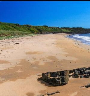 沙滩上有一些岩石,还有海洋
