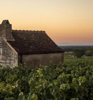 田野中央的一座老建筑