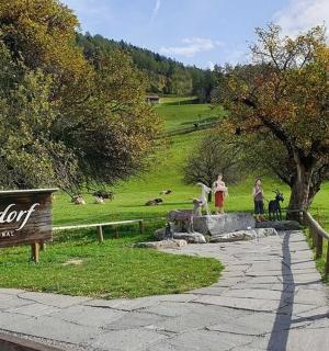 cedule pro pole s lidmi stojícími v trávě