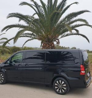a black van parked in front of a palm tree
