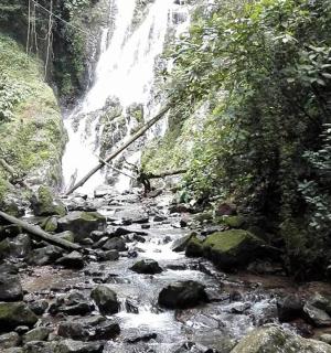 森林中间的一条小溪，有瀑布