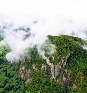 a mountain with trees and clouds on top of it