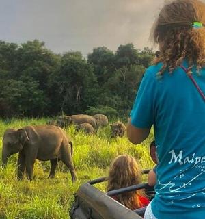 skupina lidí pozorujících stádo slonů