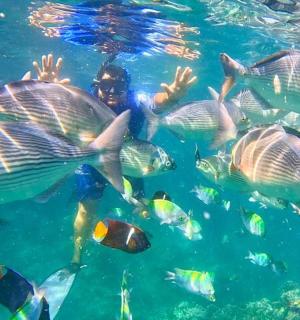a man swimming in the water with a school of fish