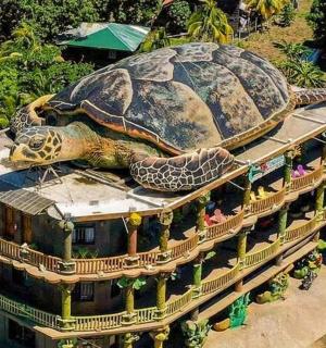 een schildpad op het dak van een gebouw