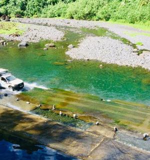 a truck driving through a river with animals in it