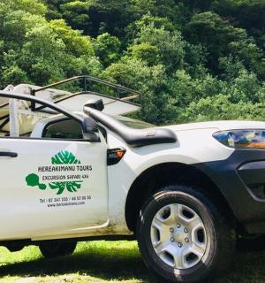 un camió blanc aparcat a l'herba amb la porta oberta