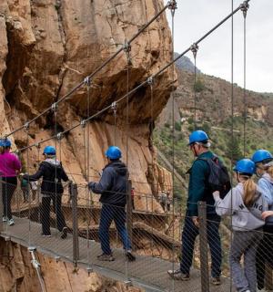 Un grupo de personas cruzando un puente colgante sobre un cañón.